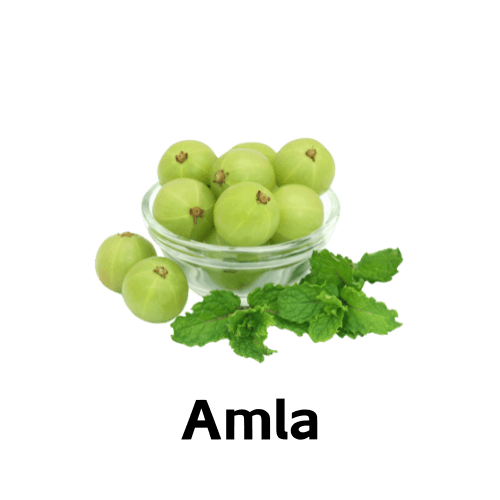 Amla