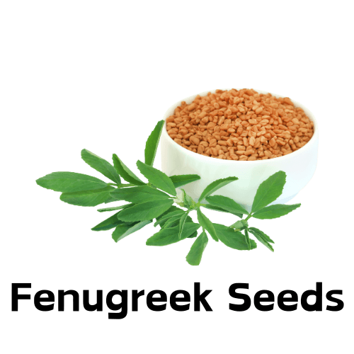 Fenugreek Seeds