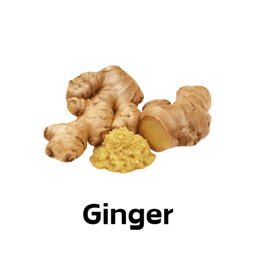 Ginger