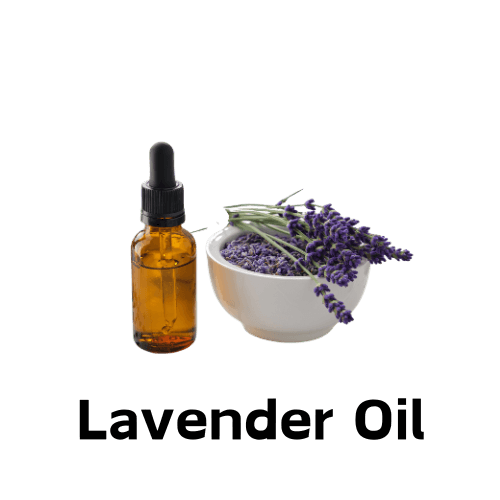 Lavender Oil