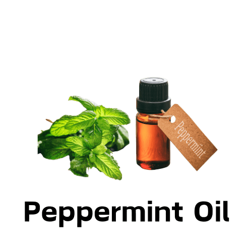 Peppermint Oil