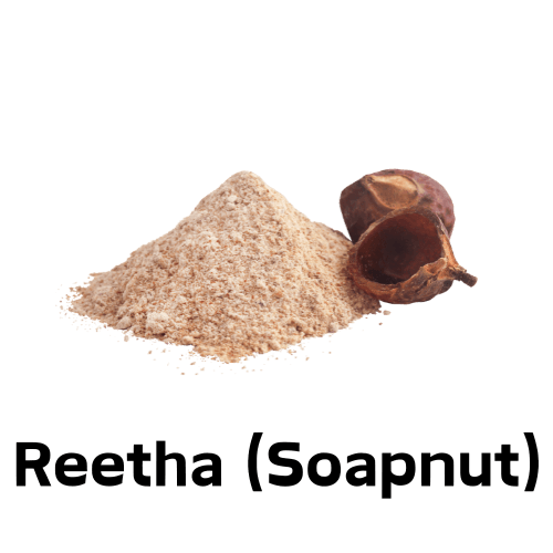 Reetha (Soapnut)