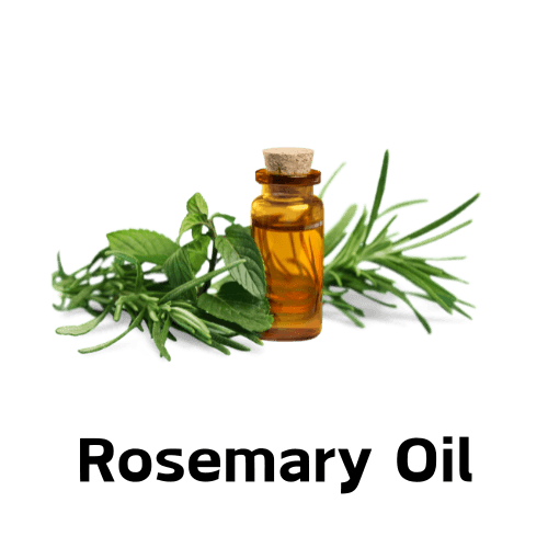 Rosemary Oil