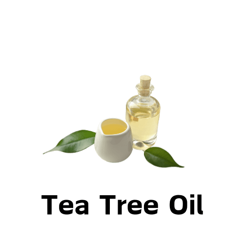 Tea Tree Oil